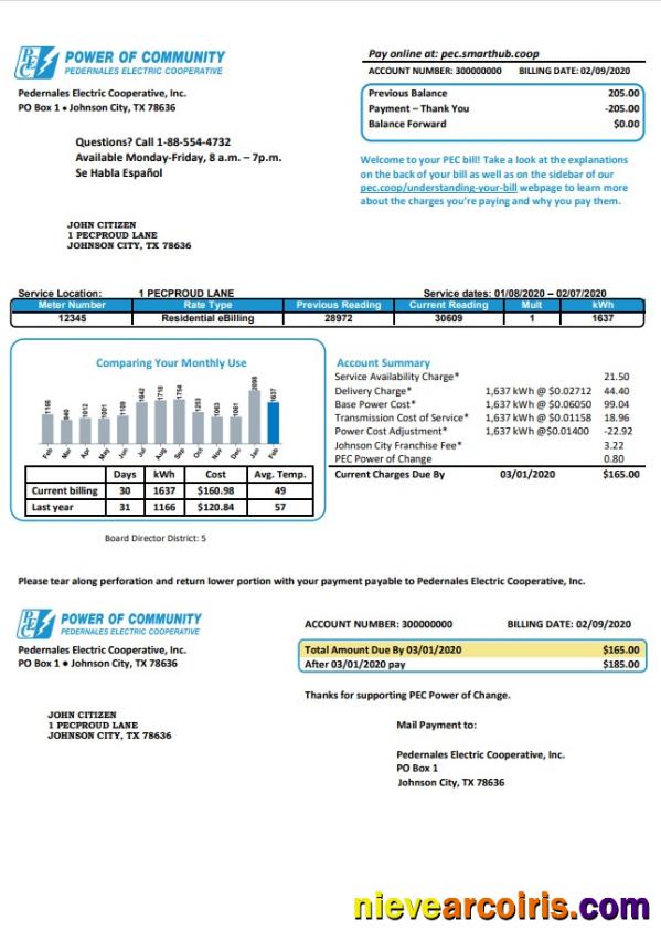 USA Texas Power of Community electricity utility bill, good for address prove